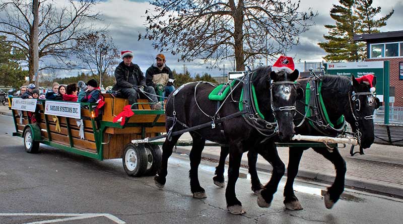 Horse Drawn Wagon in Christmas Parade