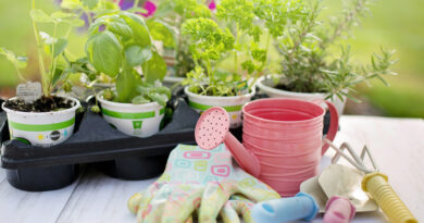 plants with gloves and watering can