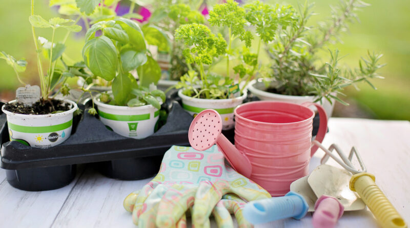 plants with gloves and watering can
