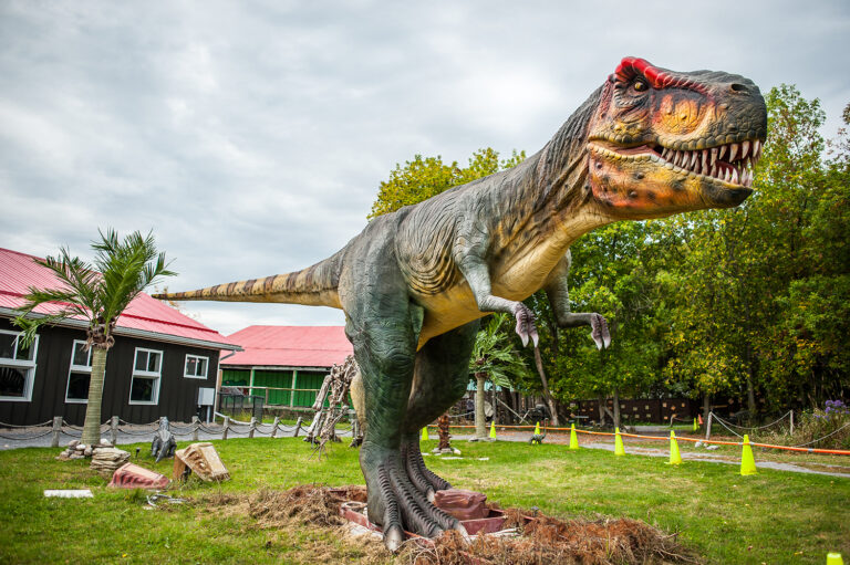 Canada’s Only DriveThru Dinosaur Park Cottage Country Lifestyle