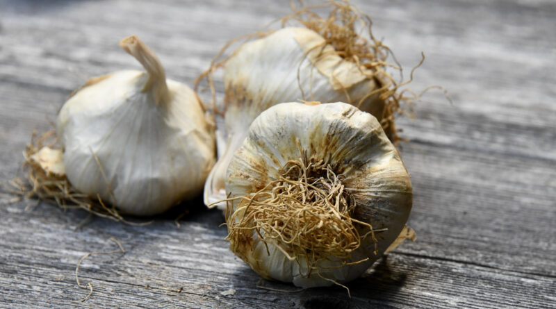 cloves of garlic