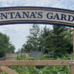 Critters Corner: Montana’s Garden