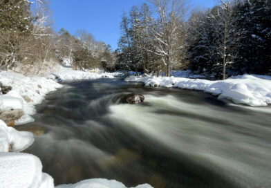 Minden White Water Preserve