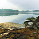 Welcome to the Spring issue