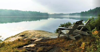 Welcome to the Spring issue