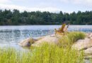 Rest Easy at the Lake: Why the Right Coverage Matters