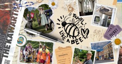 Travel Like a Bee:  Spring in The Kawarthas