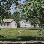 What’s Happening at Lang Pioneer Village