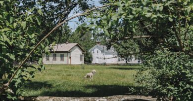 What’s Happening at Lang Pioneer Village