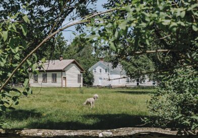 What’s Happening at Lang Pioneer Village