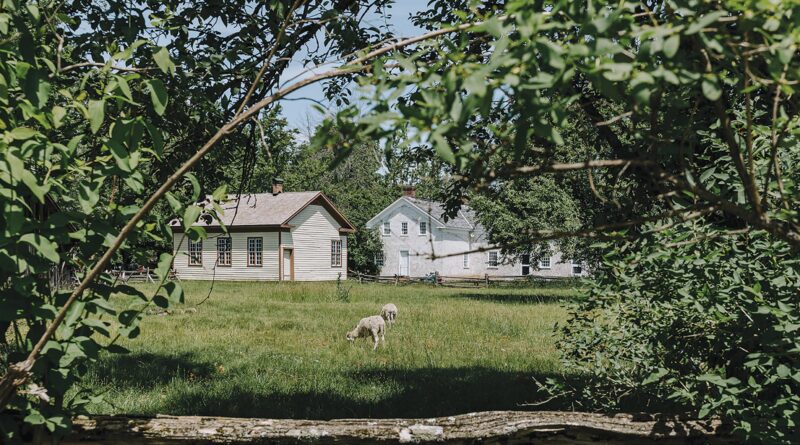 What’s Happening at Lang Pioneer Village