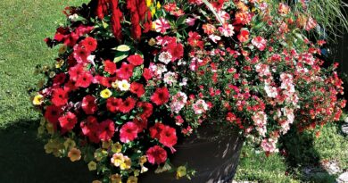 Get a Grasp on Watering