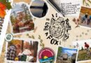 Travel Like a Fox: Fall in The Kawarthas