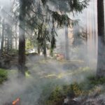 Caring for Your Shoreline Property with Fire Safety in Mind